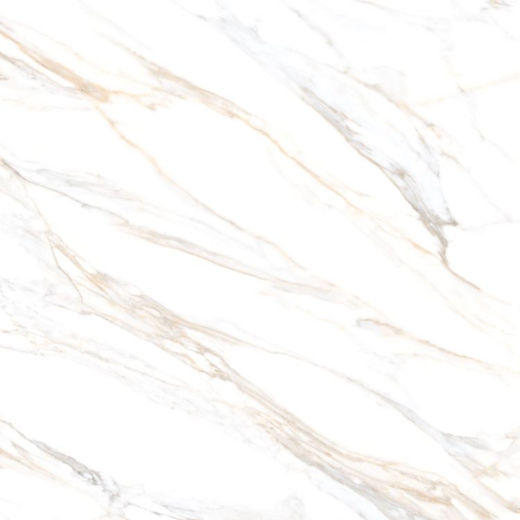 Aurum Calacatta Polished 36 x 36
